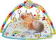 Fisher Price Γυμναστήριο Δραστηριοτήτων με Μουσική για Νεογέννητα