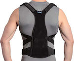 Ortholand OIK/Spinemed Back Splint Black