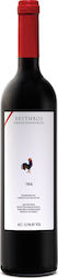 Oinopoieio Papagiannakos Rot Trocken 750ml