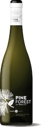 Ampelones Gika Retsina Pine Forest Weiß Trocken Harz / Harzwein 750ml Ampelones Gika Retsina Pine Forest Weiß Trocken Harz / Harzwein 750ml