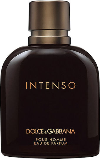 Dolce & Gabbana Pour Homme Intenso Eau de Parfum 200ml