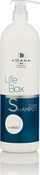 Kyana LifeBox Shampoos Color Maintenance for All Hair Types 1000ml