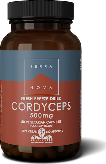 TerraNova Cordyceps 500mg 50 Mützen
