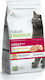 Natural Trainer Adult Dry Food Gluten-Free for ...