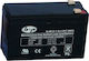 B&P DJW12-7.0 UPS Battery with Capacity 7Ah and Voltage 12V 1pcs