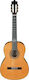 Ibanez Κλασική Κιθάρα 4/4 G850-NT Natural