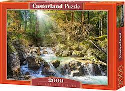 The Forest Stream Puzzle 2D 2000 Bucăți