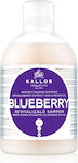 Kallos Blueberry Hair Șampoane de Reconstrucție/Nutriție pentru Păr Uscat 1x1000ml