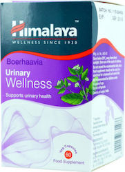 Himalaya Wellness Urinary Wellness 60 Φυτικές Κάψουλες Himalaya Wellness Urinary Wellness 60 Φυτικές Κάψουλες