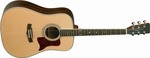 Tanglewood Semi-Acoustic Guitar Sundance