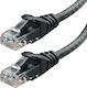 Powertech U/UTP Cat.5e Ethernet Cable 7m Black