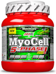Amix Myocell 5 Phase 500gr Fruit Punch