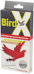 Bird X Ακίδες Απώθησης Πουλιών 1m