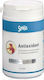 AM Health Smile Antioxidant Ειδικό Συμπλήρωμα Διατροφής 60 κάψουλες