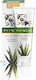 Olive Aloe Face Mask For Deep Hydrating & Firming Μάσκα Ομορφιάς Προσώπου για Ενυδάτωση 70ml