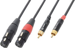Power Dynamics Cable 2x XLR female - RCA male 6m