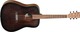 Tanglewood Semi-Akustik Gitarre TWCRDE Crossroads Dreadnought Braun