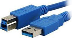 MediaRange USB 3.0 Cablu USB-A de sex masculin - USB-B de sex masculin Albastru 1.8m MRCS144