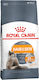 Royal Canin Hair & Skin Care Dry Food for Adult Cats with Poultry 2kg