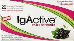 IgActive Blackcurrant Παστίλιες Φραγκοστάφυλλο 20τμχ IgActive Blackcurrant Παστίλιες Φραγκοστάφυλλο 20τμχ