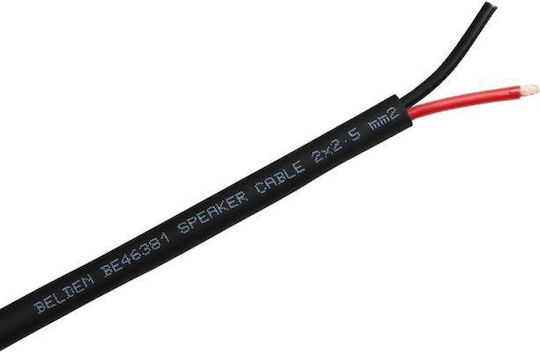Belden 46381 Καλώδιο Ηχείου Ατερμάτιστο 1m CASPE055