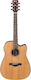 Ibanez Semi-Acoustic Guitar AW65ECE-LG Cutaway Natural