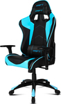 Drift Gaming Chair DR300 DR300BL