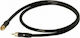 Real Cable Cable RCA male - RCA male 2m EAN2M00