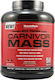 Muscle Meds Carnivor Mass Gluten & Lactose Free with Flavor Chocolate & Peanut Butter 2.73kg