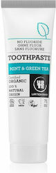 Urtekram Toothpaste Fluoride Free Green Tea & Mint 75ml