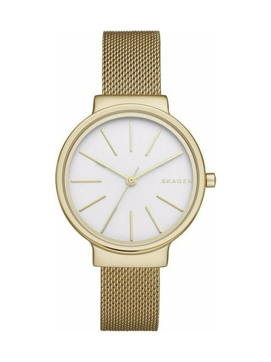 Skagen Ancher Uhr mit Gold Metallarmband