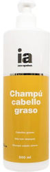 Interapothek Champu Cabello Graso 400ml
