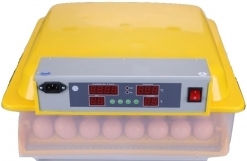 Nova 48 Egg Poultry Hatching Machine - Nova 48 Egg Poultry Production Kneading Machine NOVITAL