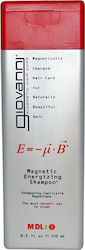 Giovanni Magnetic Energizing 250ml Giovanni Magnetic Energizing 250ml