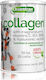 Quamtrax Nutrition Collagen with Hyaluronic Acid 300gr