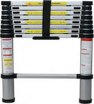 Telescopic Ladder Aluminum 10 of Steps with Maximum Height 2.9m TL29