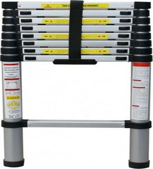 Telescopic Ladder Aluminum 10 of Steps with Maximum Height 2.9m TL29