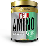 GoldTouch Nutrition Real Amino 200gr Lemon