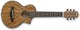 Ibanez Акустика Китара EWP14WB-OPN Отрязана Natural