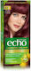 Farcom Echo Set Haarfarbe 6.2 Acacia Gold 60ml