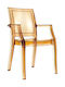 Arthur Kitchen Polypropylene Armchair Amber 56x60x91cm