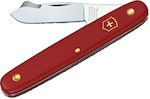 Victorinox Budding Swiss Army Knife with Blade made of Steel