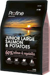 Profine Junior Large 3kg Ξηρά Τροφή για Κουτάβια Μεγαλόσωμων Φυλών με Σολομό