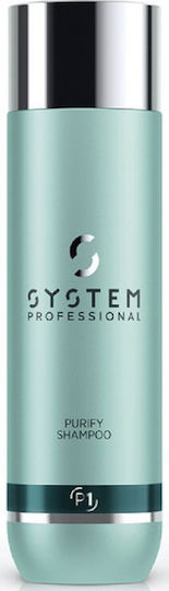System Professional Derma Purify P1 Sampon de Păr împotriva Mătreaței pentru Toate Tipurile de Păr 250ml