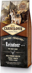 Carnilove Reindeer Adult 12kg Dry Food Grain Free for Adult Dogs with Reindeer