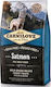 Carnilove Salmon Adult 12kg Dry Food Grain Free for Adult Dogs with Salmon