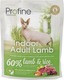 Indoor Adult Lamb Dry Food for Adult Cats 0.3 kg