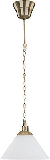 Elmark Molly Pendant Light Bronze 29.5x295x124cm