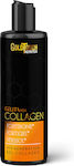 GoldTouch Nutrition Collagen 500ml Strawberry