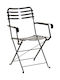 Zappeion Chair Metallic 3794 Galvanized 57x57x83cm